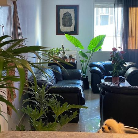 Private Room Казабланка Екстериор снимка