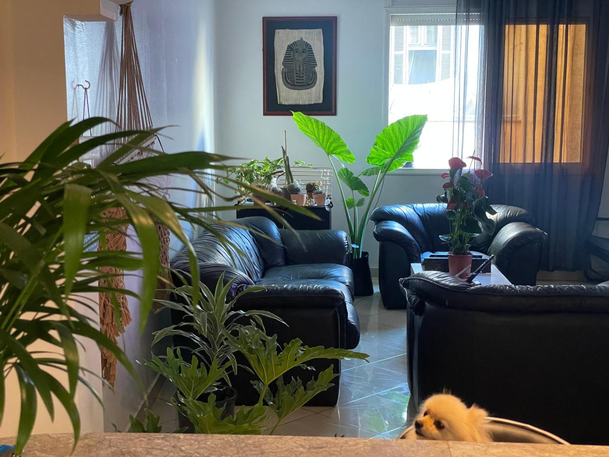 Private Room Казабланка Екстериор снимка